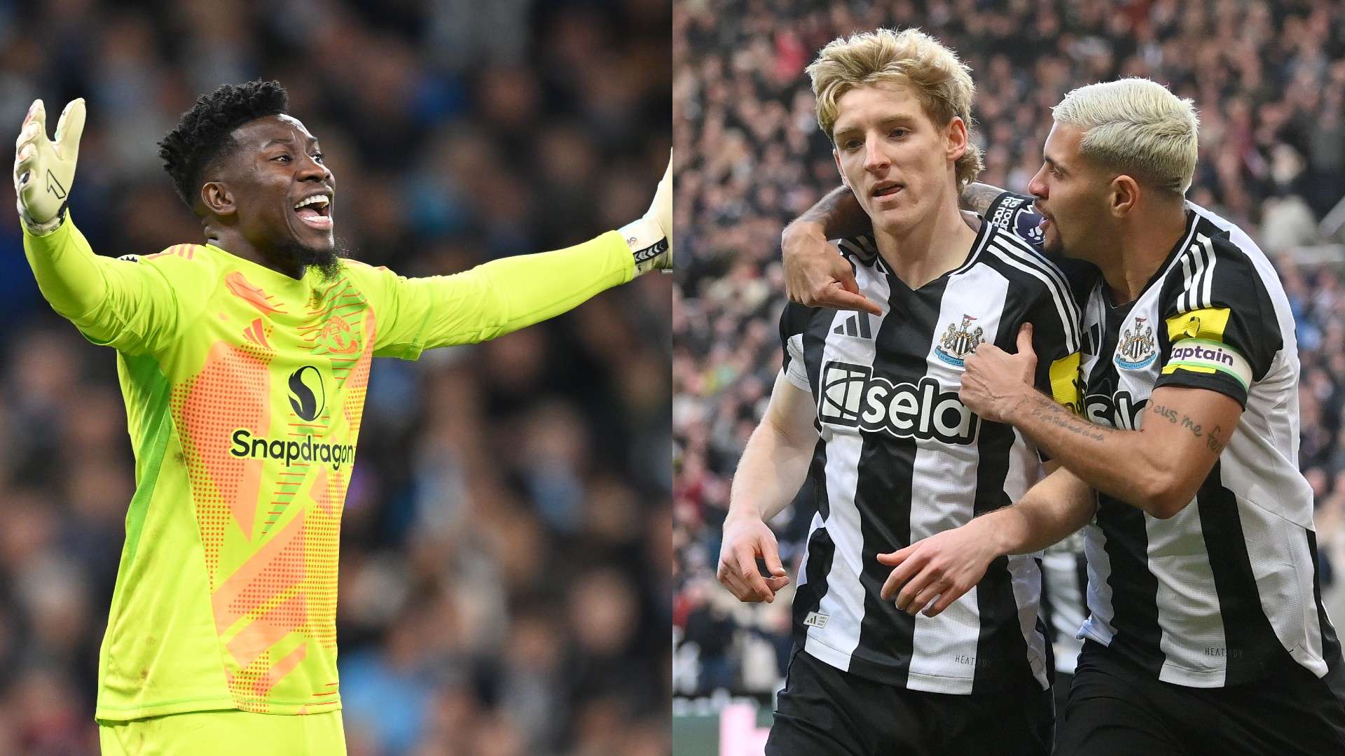 公牛面对的 公牛面对的