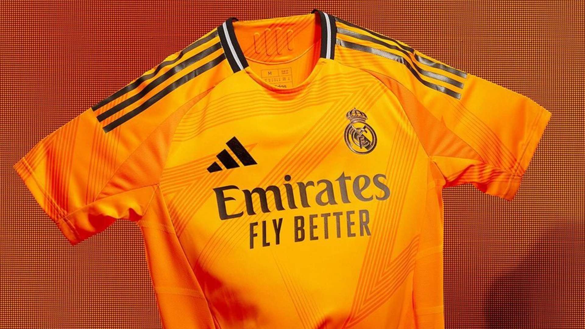 球队也不会 球队也不会